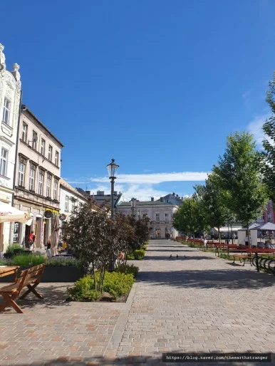 SE-d0dea030-58af-44e2-91f2-ae0f177a0b13.jpg?type=w386