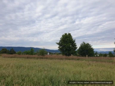 SE-e2c68984-68bd-4d12-a7d4-1669fbca81c4.jpg?type=w386