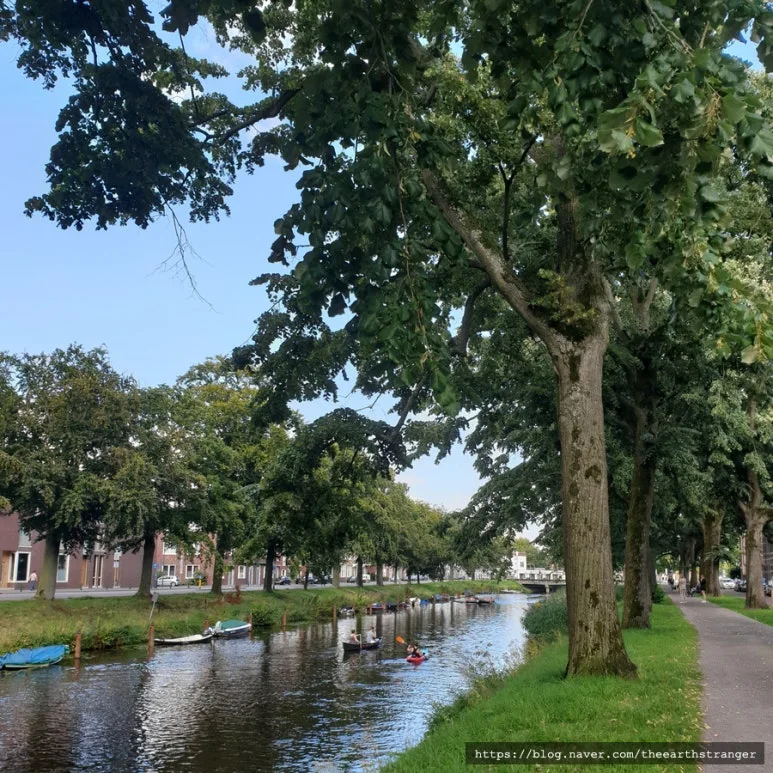 SE-de69c3df-d07f-4ff6-a4df-85e49665150a.jpg?type=w773