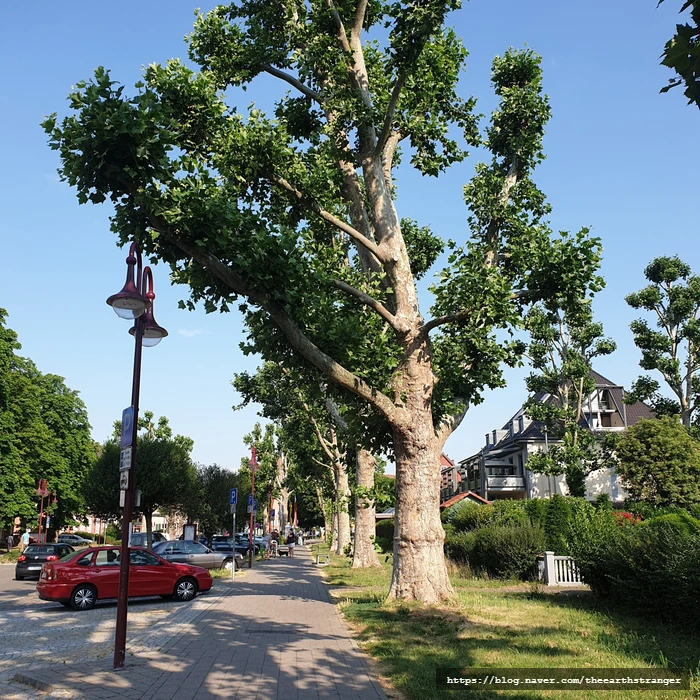 SE-13001f6e-4bfe-45df-9a26-94bd166816b8.jpg?type=w773