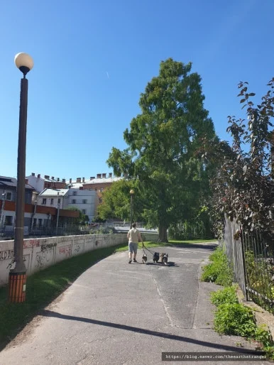 SE-c973c214-75a9-4ff9-8af2-a9be5407237e.jpg?type=w386