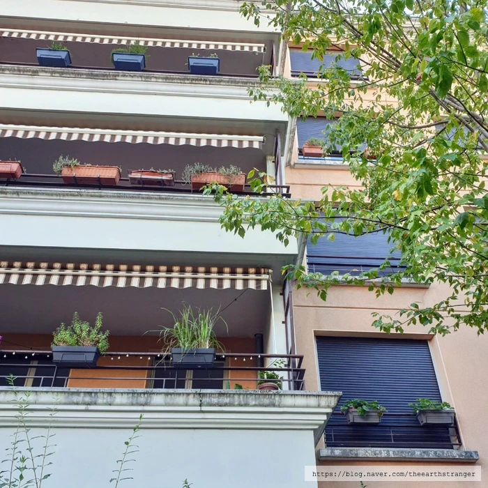 SE-2e098a5b-2227-11ee-863c-7d9f9acfda3f.jpg?type=w773