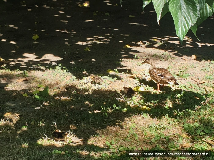 SE-73167732-3179-11ee-9e6b-edbdd6593ab1.jpg?type=w773