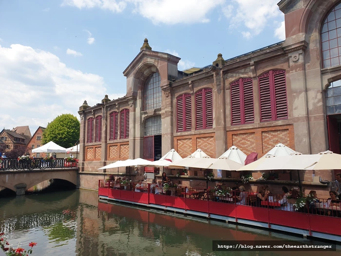 SE-7d997204-47c0-4a3f-bf73-c49ecec57667.jpg?type=w773