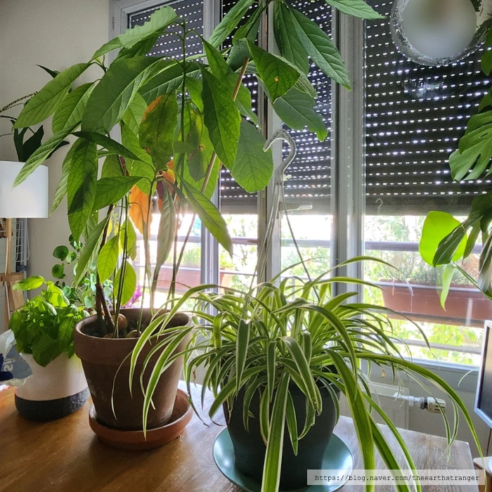 SE-2e0ce5c7-2227-11ee-863c-1d60c7ea83fb.jpg?type=w773