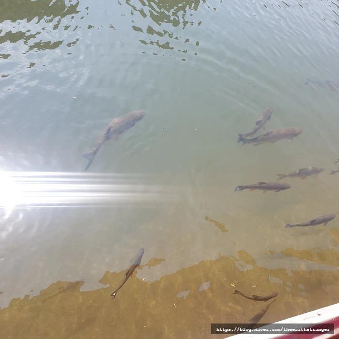 SE-82928b89-3f55-47a6-8bab-db863e0332cb.jpg?type=w773