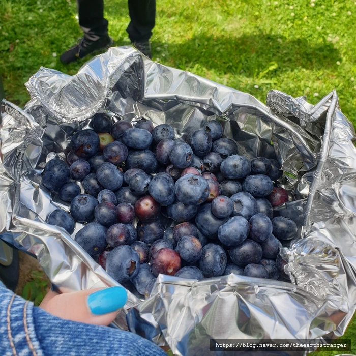 SE-3f9dc97d-ac33-44ac-a4b2-6a73efa4903c.jpg?type=w773