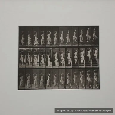 SE-6741b5f7-7e39-11ef-b5a3-e5d2577ffe4e.jpg?type=w386