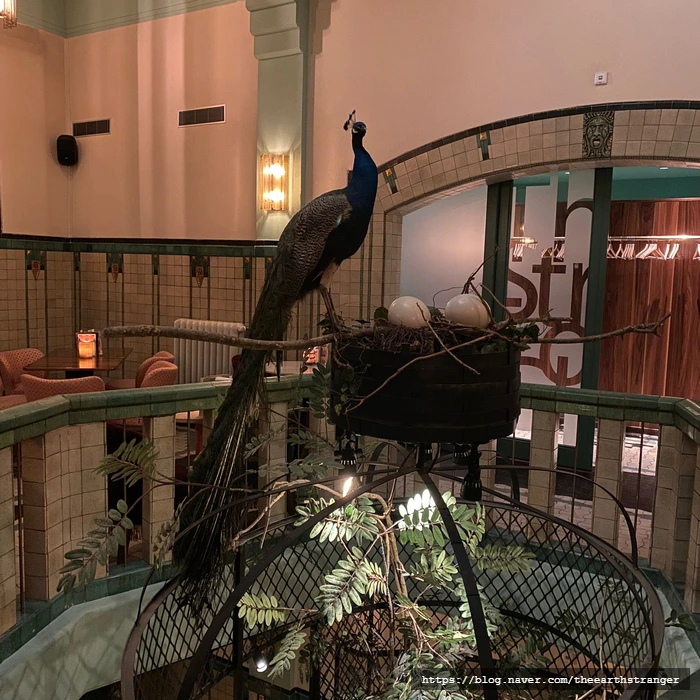 SE-89bec3ce-5ee4-40a5-a727-2a895802ab5f.jpg?type=w773