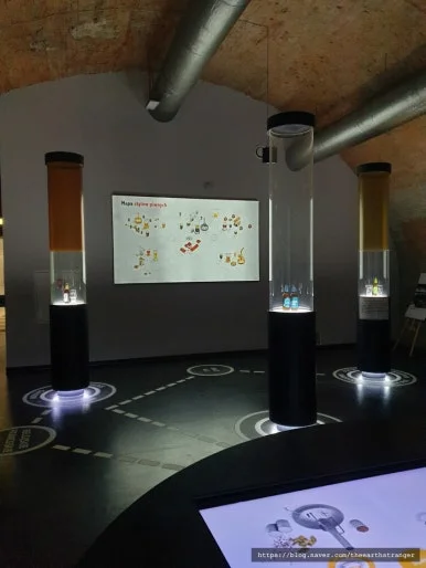 SE-8dcb7c74-5281-4e70-bd35-f88e9950be33.jpg?type=w386