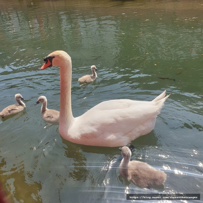 SE-a05d350f-c40d-4cff-a410-30f5bc9e0de9.jpg?type=w773