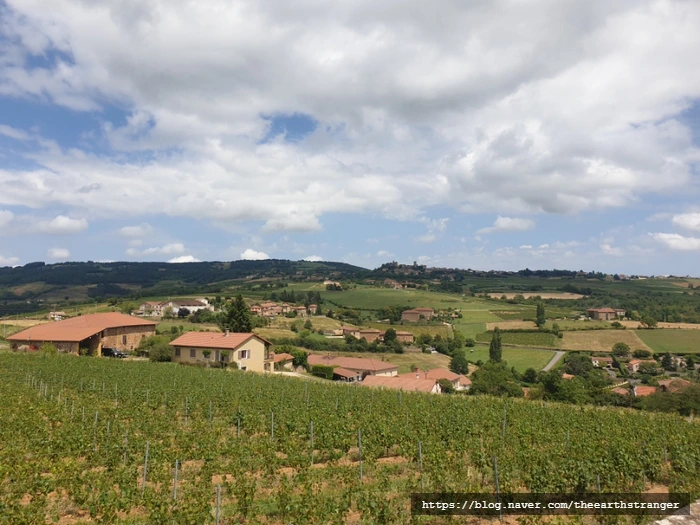 SE-caa76010-3177-11ee-9e6b-f93f99bc4b3e.jpg?type=w773