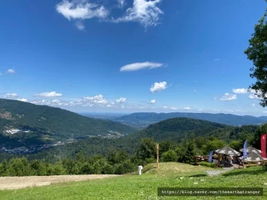 SE-bd9a6ba3-8501-4f9c-94b7-332e89d60e0d.jpg?type=w386