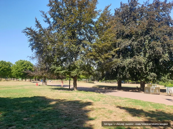 SE-7306bfa4-3179-11ee-9e6b-0b43bafc781c.jpg?type=w773