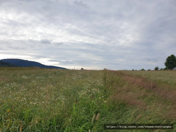 SE-1073908f-eea5-445d-8732-3611201fd859.jpg?type=w773