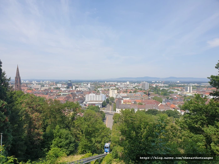 SE-56d543e2-ab22-43c3-9b1a-b3c42393e1da.jpg?type=w773