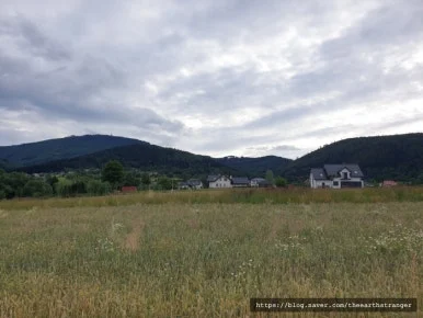 SE-f1b16009-e447-4381-bb63-6e61ec4ad168.jpg?type=w386