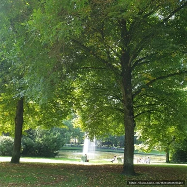 SE-147c9340-3b97-4e9f-b4df-11813940c9ef.jpg?type=w386