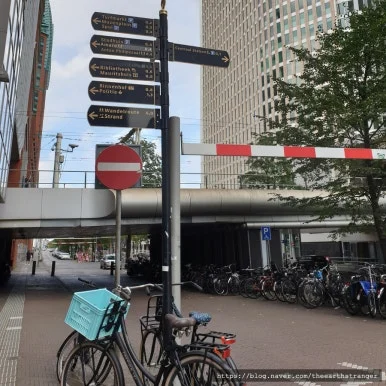 SE-5b84e1f0-3457-4c20-8528-94bb5d623b81.jpg?type=w386