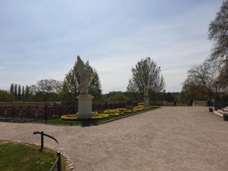 20230510%EF%BC%BF124440.jpg?type=w773