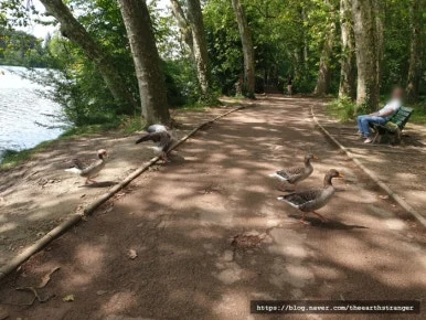 SE-caafc48d-3177-11ee-9e6b-3548c8d520fb.jpg?type=w386