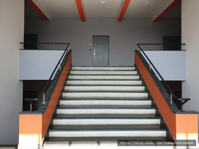 SE-e572cb81-828d-11ef-9808-3b8af1d83853.jpg?type=w773