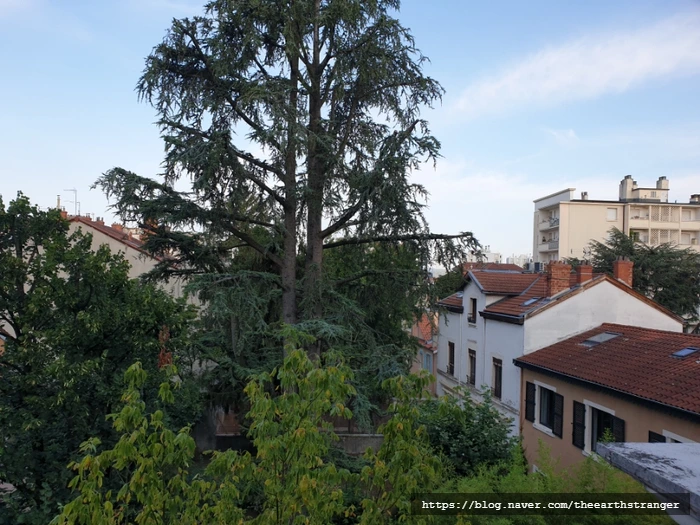 SE-70e8afec-317b-11ee-9e6b-ad2343fa8644.jpg?type=w773