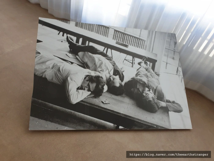 SE-e56e86be-828d-11ef-9808-c7df58d94395.jpg?type=w773