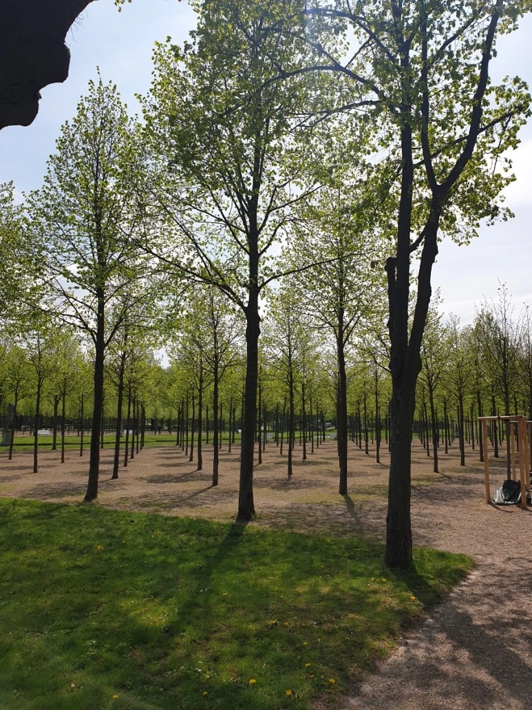 20230510%EF%BC%BF130353.jpg?type=w773