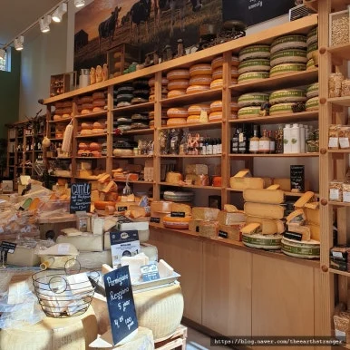 SE-55474295-55ec-495f-843f-f901884f911d.jpg?type=w386