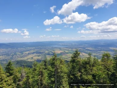 SE-053120af-b2dd-46aa-ba66-5bd4f6c8d013.jpg?type=w386