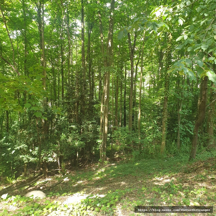 SE-860bc72f-d885-4d55-a4be-3031ae87083e.jpg?type=w773