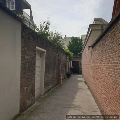 SE-474d76f4-6212-4fe1-950e-df47ee794fbb.jpg?type=w386