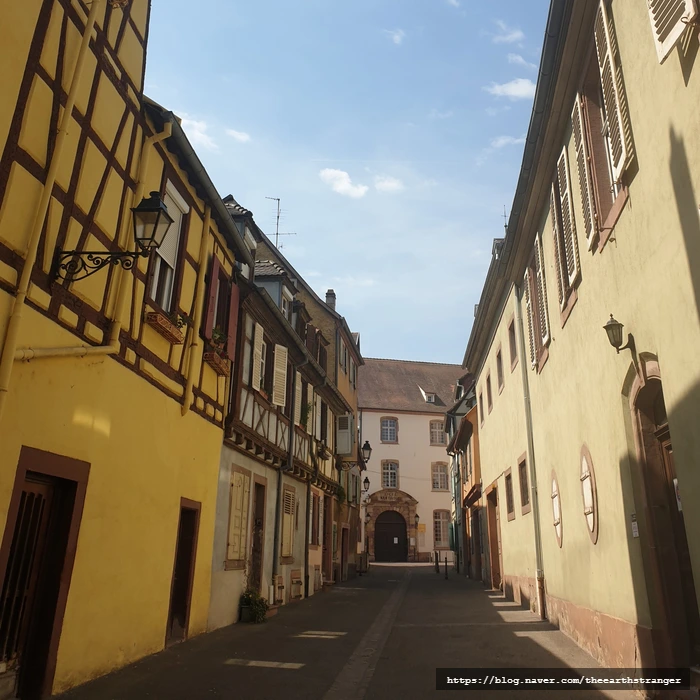 SE-8f2f6928-77a2-4bc2-b808-1a77f0bc8454.jpg?type=w773