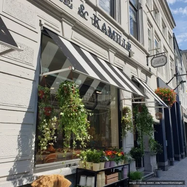 SE-21545836-1030-4ec5-b6a8-206ef7924d7d.jpg?type=w386