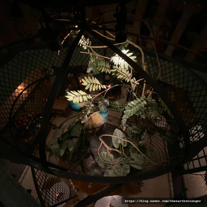 SE-203deb25-5cde-4f40-ad97-0cbd46cd1b36.jpg?type=w773