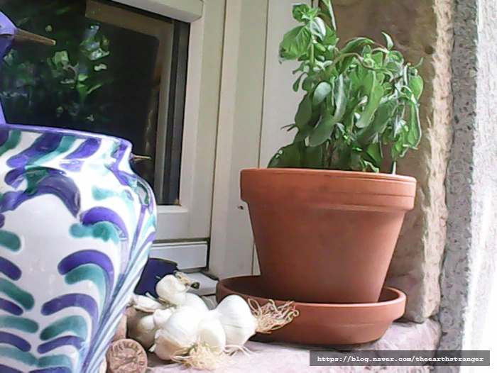 SE-fc10319b-e6d2-48df-be6e-9a8479394493.jpg?type=w773