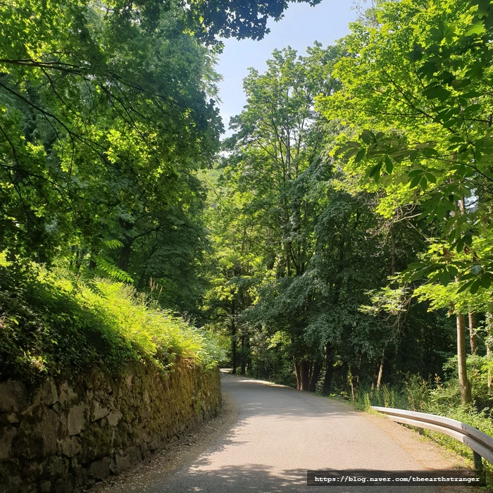 SE-5d2dd0a2-9196-49dd-a7bd-6ec4303a49e0.jpg?type=w773