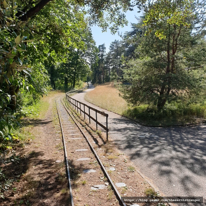 SE-7314a26d-3179-11ee-9e6b-b3d7ac285c43.jpg?type=w773