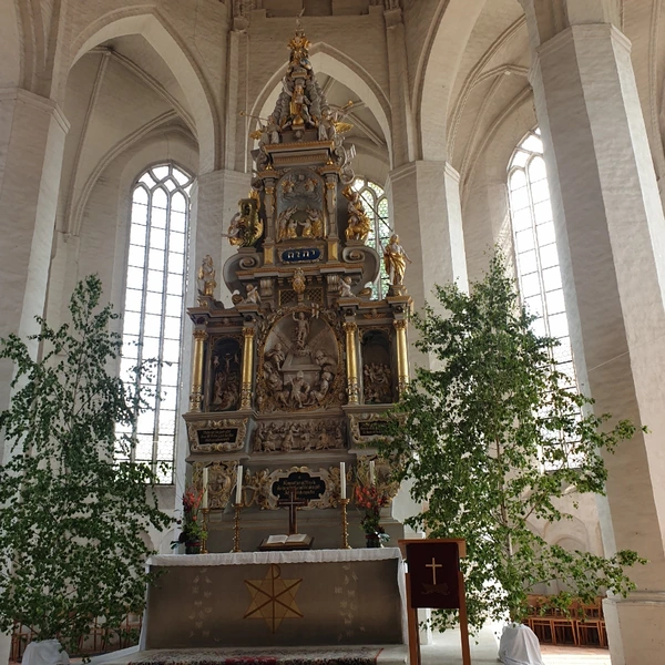 SE-03a613dd-06ca-11ee-949f-8b11552e4674.jpg?type=w773