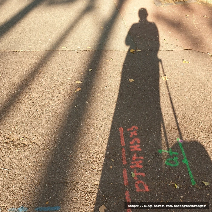 SE-70e2bc6f-317b-11ee-9e6b-db14d6c928a7.jpg?type=w773