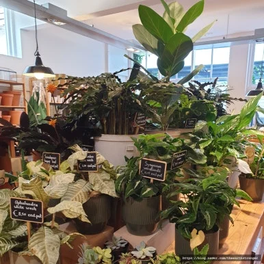 SE-007a3c1b-e44b-412e-9df8-40202ee87d70.jpg?type=w386