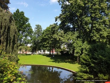 SE-963f9a3e-61b0-437e-b153-5124eae03d36.jpg?type=w386