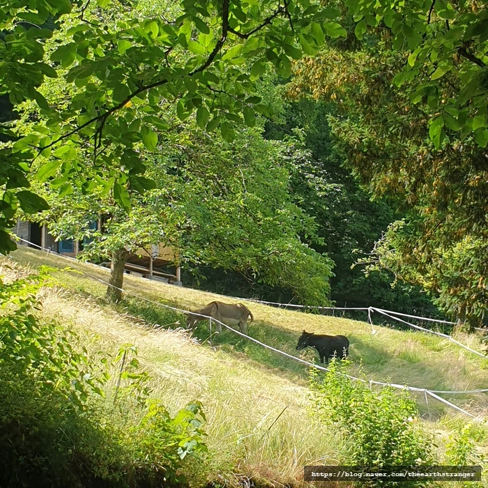 SE-4dd3c215-8a03-4b47-8b37-85db0302dbfe.jpg?type=w773