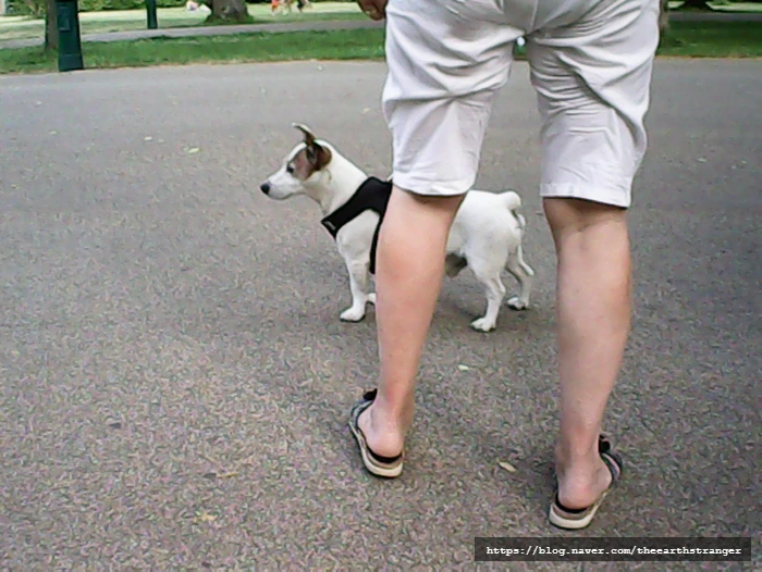 SE-da3bc1f0-202c-46ae-b878-016a32d1da68.jpg?type=w773