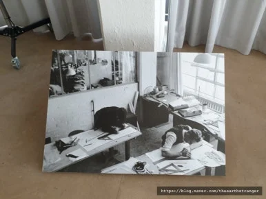 SE-e56c15bc-828d-11ef-9808-51f2bce49bfb.jpg?type=w386