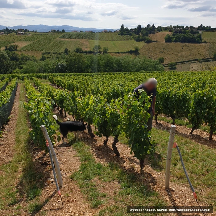 SE-cab9136c-3177-11ee-9e6b-b7fb15744c5b.jpg?type=w773