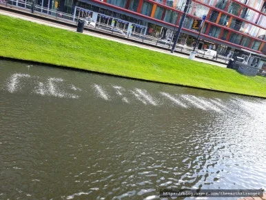 SE-afbfadde-5bb5-41c1-a47e-5e4db8dfc1b2.jpg?type=w386