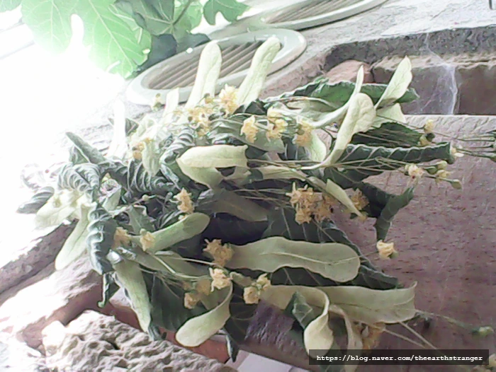 SE-0000f718-b94f-4199-a1e2-f1b795eb43e2.jpg?type=w773