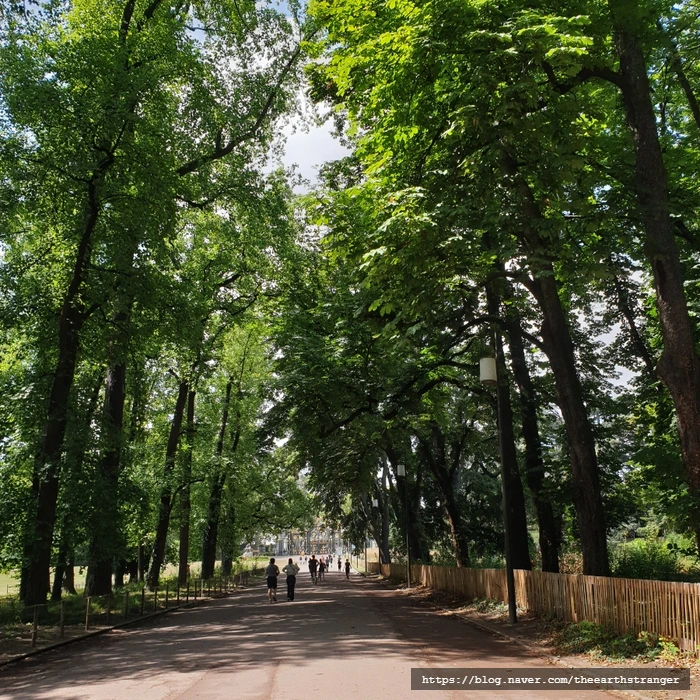 SE-cab20e81-3177-11ee-9e6b-e3196cb747f5.jpg?type=w773